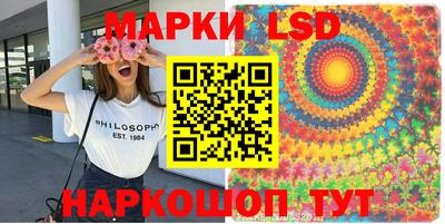прущие грибы Ярцево