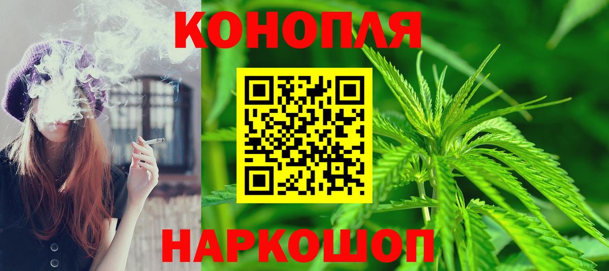 Каннабис Ganja Ачхой-Мартан